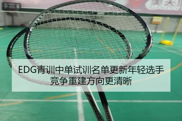 EDG青训中单试训名单更新年轻选手竞争重建方向更清晰